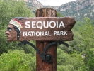 PICTURES/Sequoia National Park/t_Sequoia Park Sign.JPG